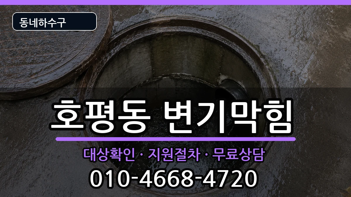 경기남양주시호평동 변기막힘 증상 처리 안내 이미지 2