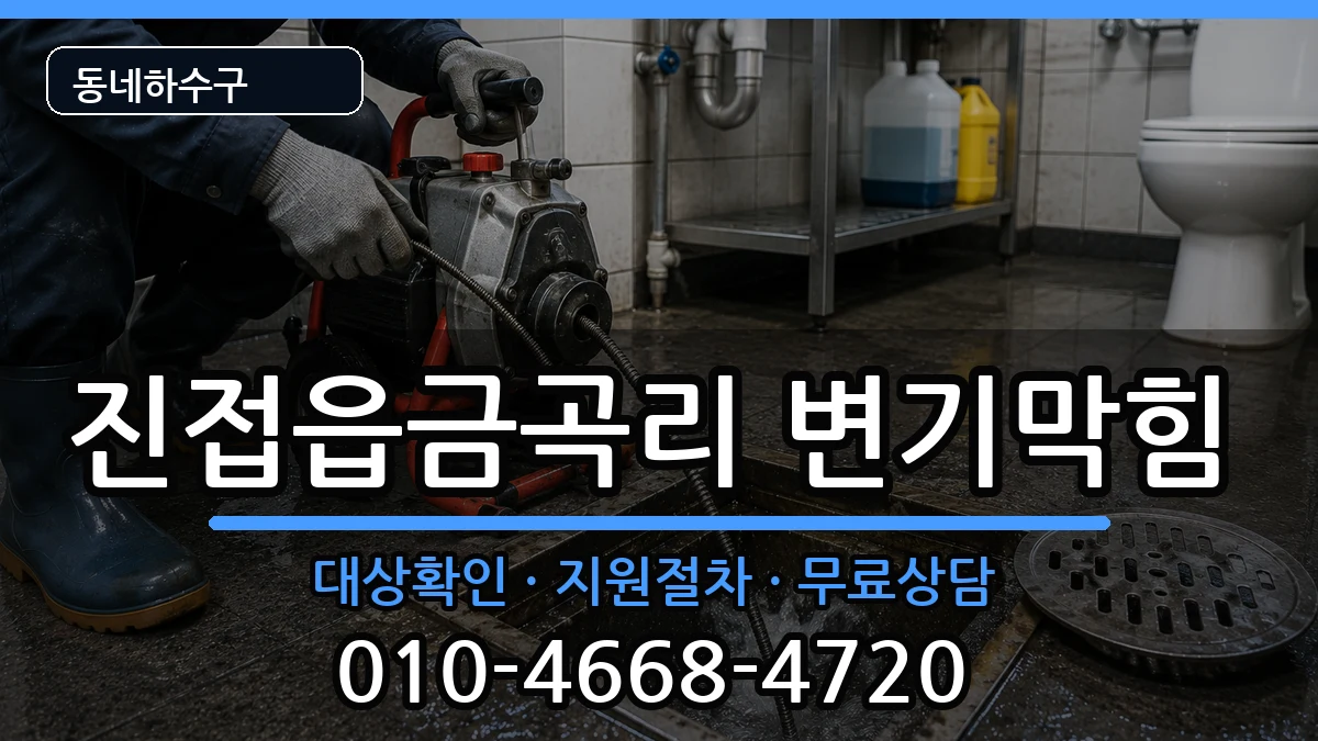 경기남양주시진접읍금곡리 변기막힘 경기남양주시진접읍금곡리 변기막힘 증상 처리 안내 이미지 1