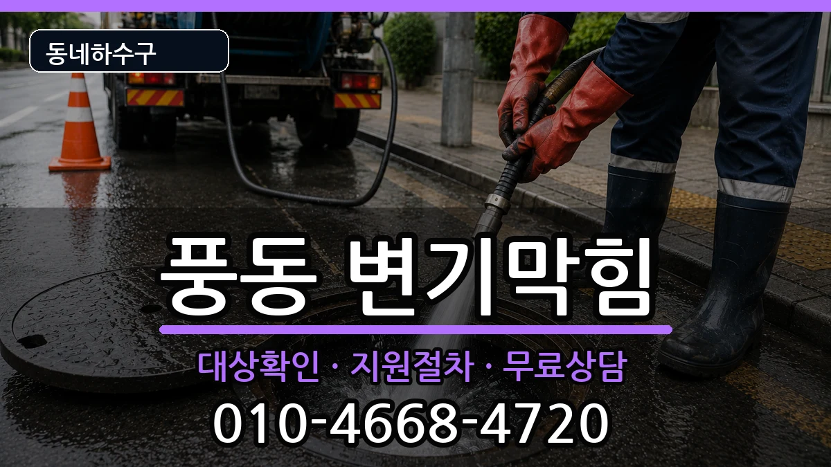 경기고양시일산동구풍동  변기막힘 질문형