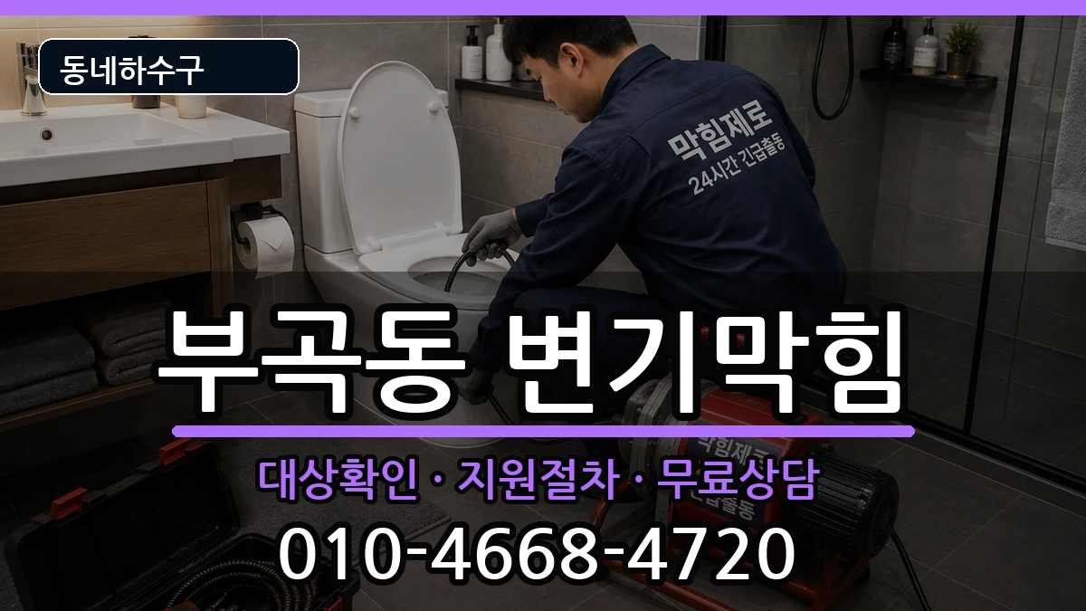 경기안산시상록구부곡동 변기막힘 경기안산시상록구부곡동 변기막힘 증상 처리 안내 이미지 3