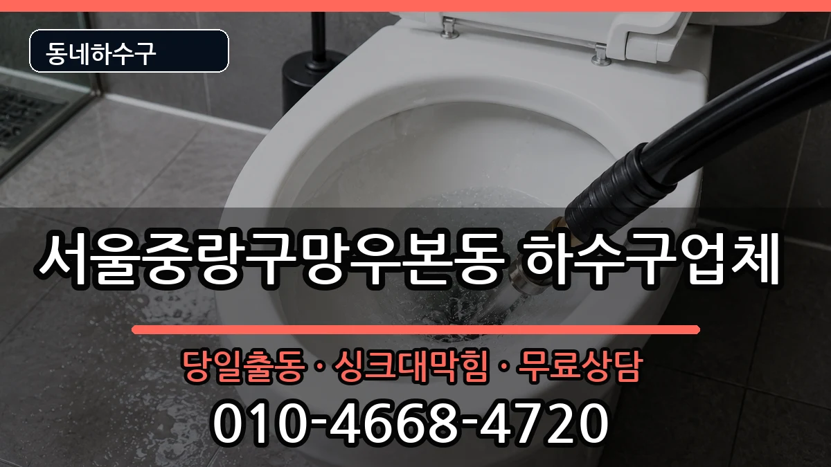 서울중랑구망우본동 하수구막힘 증상 처리 안내 이미지 2