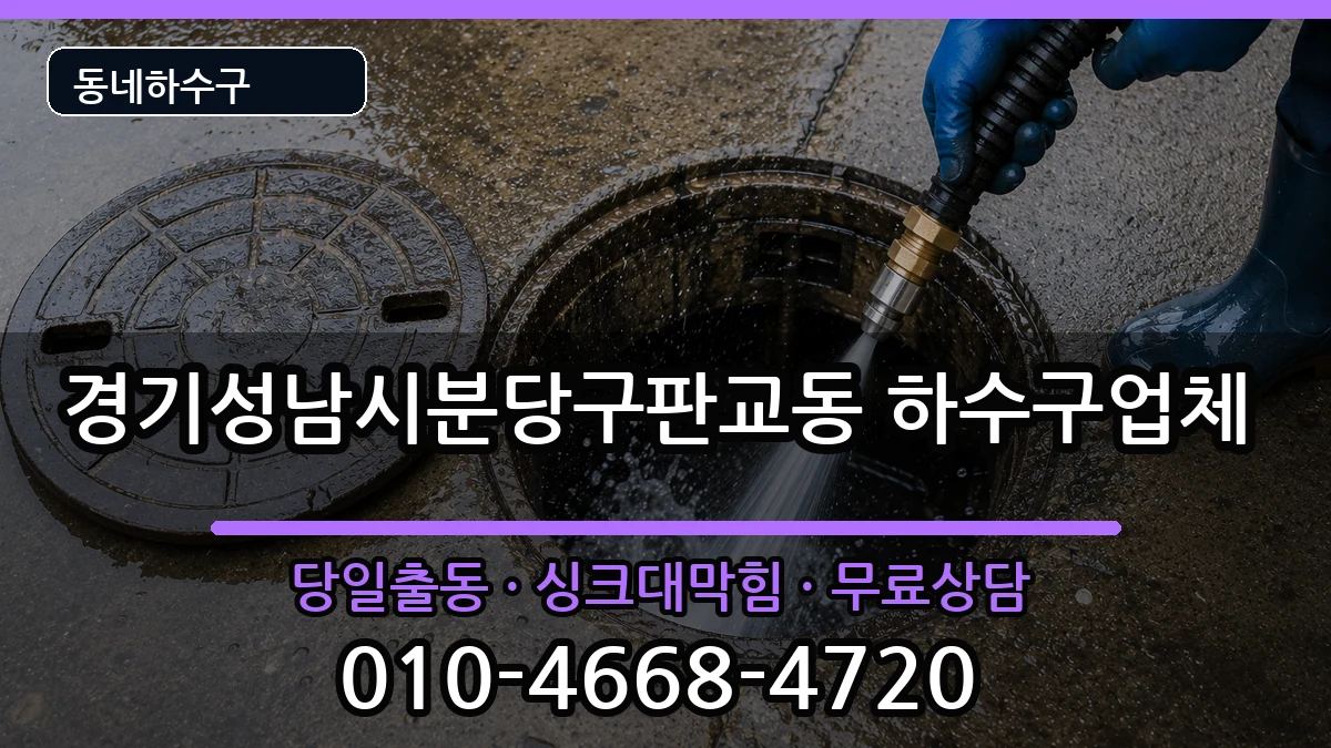 경기성남시분당구판교동 하수구막힘 증상 처리 안내 이미지 1