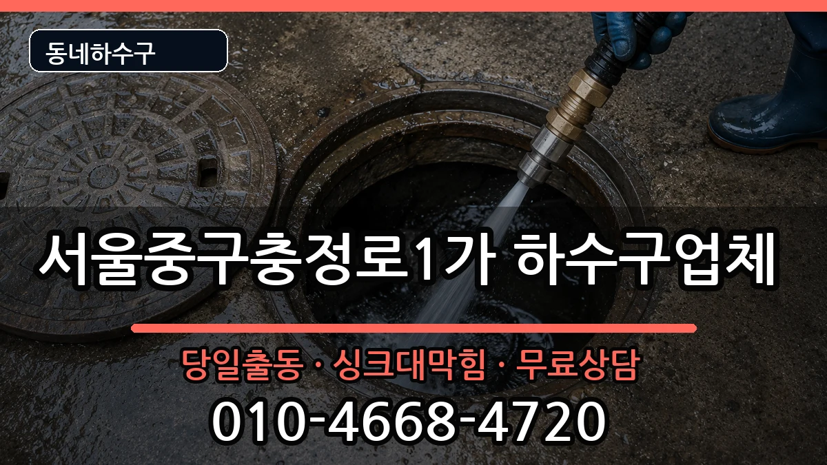 서울중구충정로1가 하수구막힘 서울중구충정로1가 하수구막힘 증상 처리 안내 이미지 3