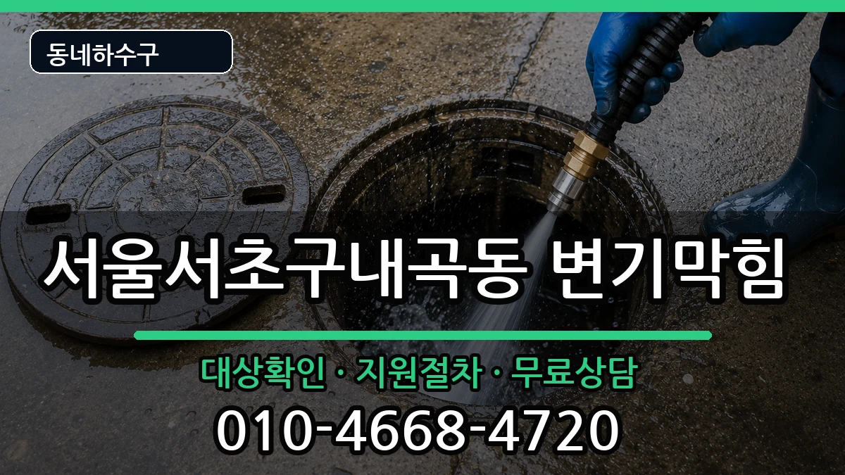 서울서초구내곡동  변기막힘 FAQ형