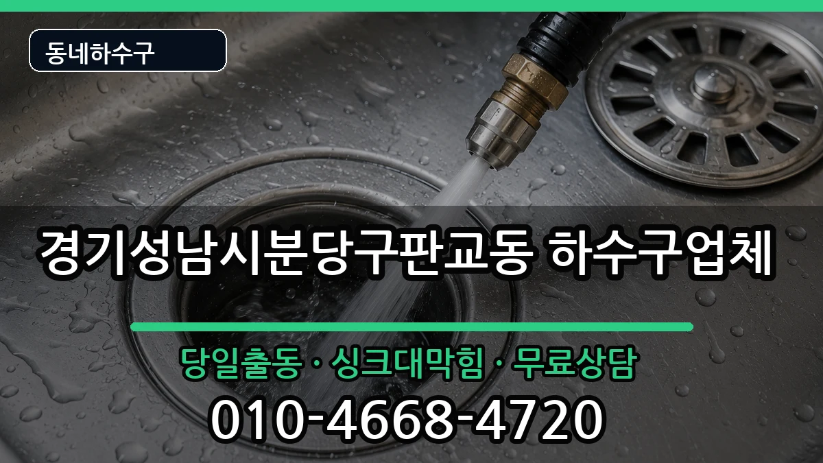 경기성남시분당구판교동 하수구막힘 증상 처리 안내 이미지 3