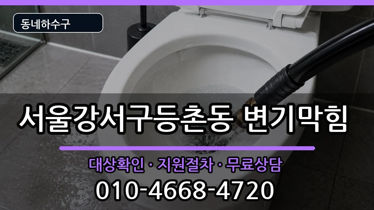 서울강서구등촌동 변기막힘 서울강서구등촌동 변기막힘 증상 처리 안내 이미지 1