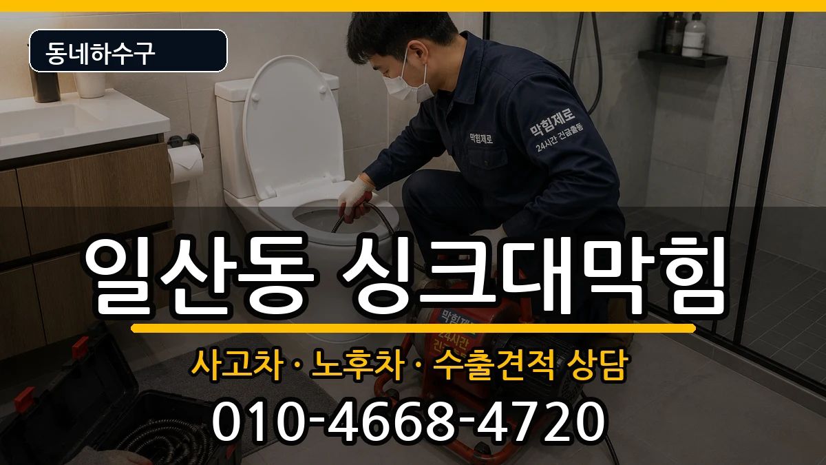 경기고양시일산서구일산동  싱크대막힘 사례형