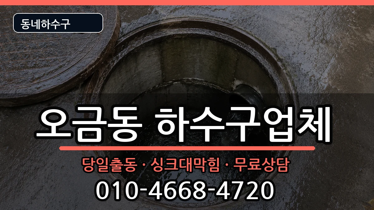 경기고양시덕양구오금동 하수구막힘 증상 처리 안내 이미지 2