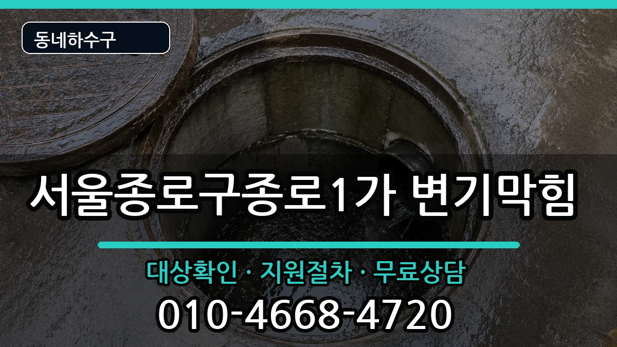 서울종로구종로1가 변기막힘 서울종로구종로1가 변기막힘 증상 처리 안내 이미지 2
