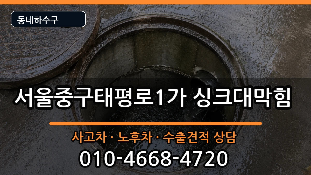 서울중구태평로1가 싱크대막힘 서울중구태평로1가 싱크대막힘 증상 처리 안내 이미지 1