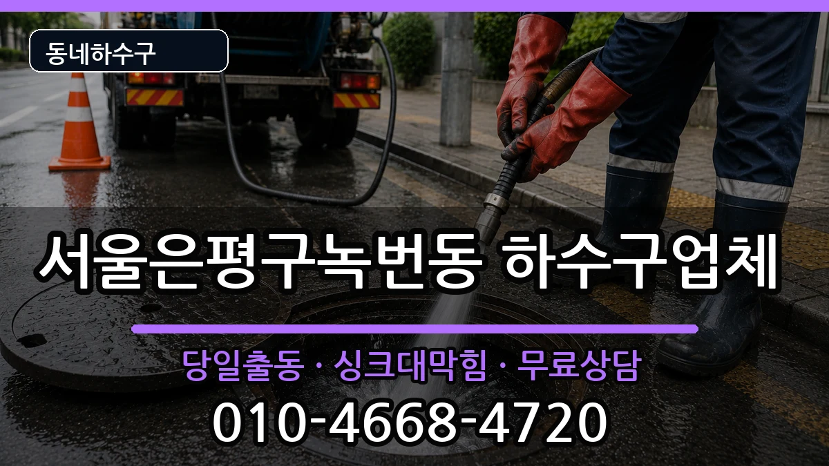 서울은평구녹번동  하수구막힘 질문형