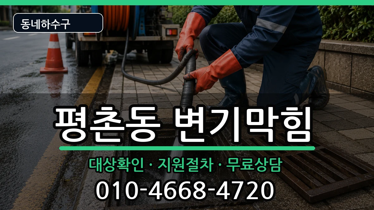 경기안양시동안구평촌동 변기막힘 경기안양시동안구평촌동 변기막힘 증상 처리 안내 이미지 1
