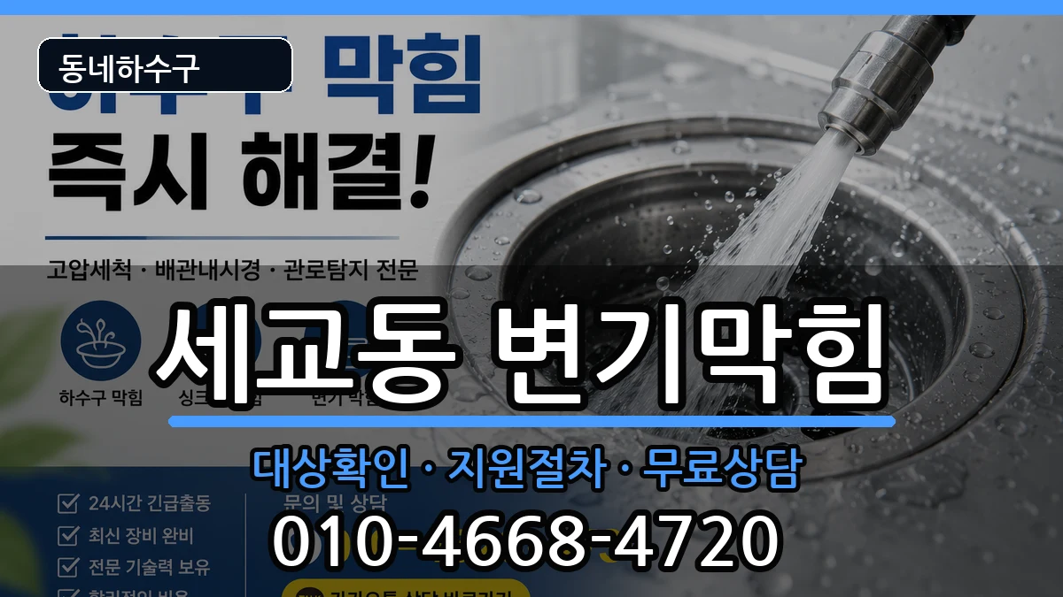 경기평택시세교동 변기막힘 증상 처리 안내 이미지 2