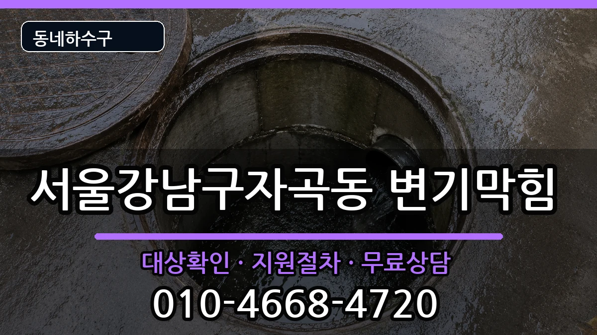서울강남구자곡동 변기막힘 서울강남구자곡동 변기막힘 증상 처리 안내 이미지 1