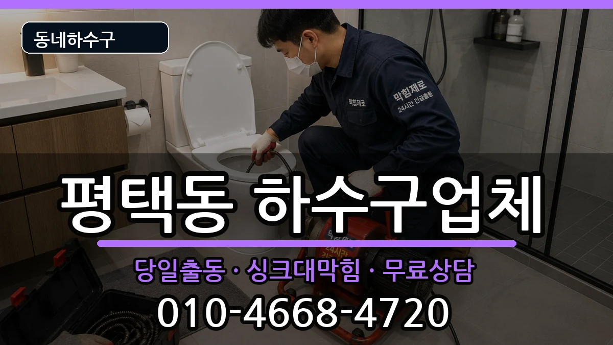 경기평택시평택동  하수구막힘 사례형
