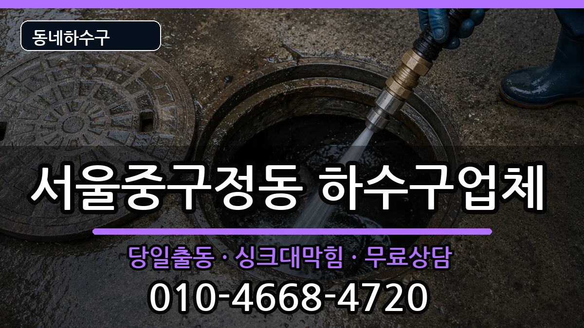 서울중구정동  하수구막힘 주의사항형
