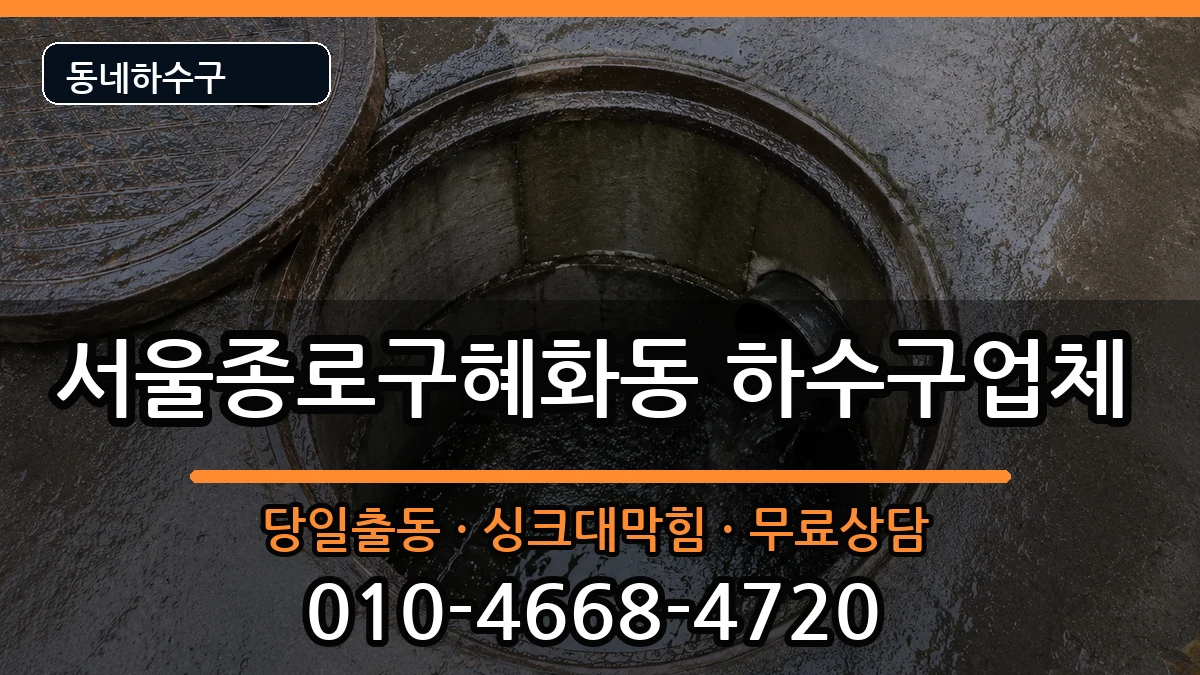 서울종로구혜화동 하수구막힘 서울종로구혜화동 하수구막힘 증상 처리 안내 이미지 2