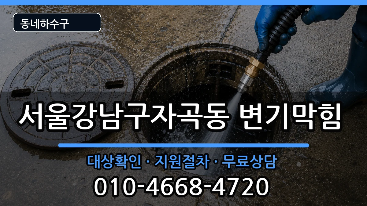 서울강남구자곡동 변기막힘 서울강남구자곡동 변기막힘 증상 처리 안내 이미지 2