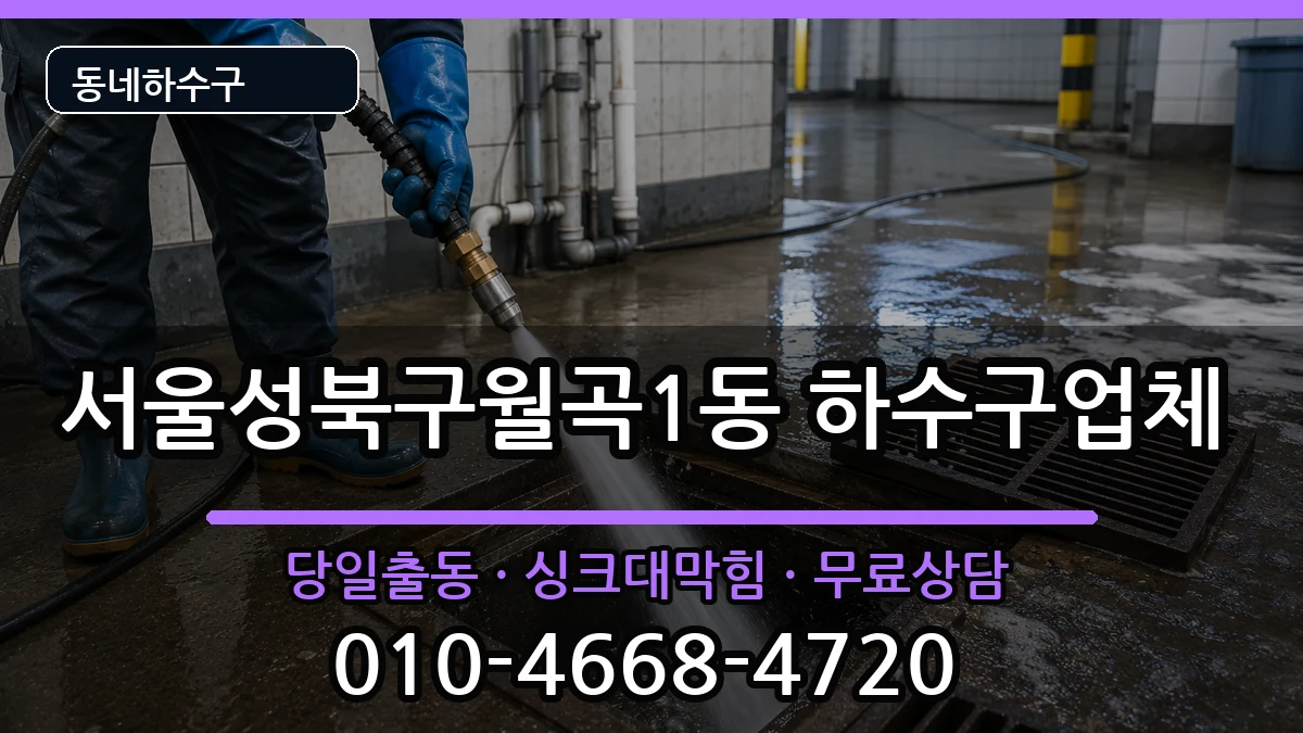 서울성북구월곡1동 하수구막힘 서울성북구월곡1동 하수구막힘 증상 처리 안내 이미지 2