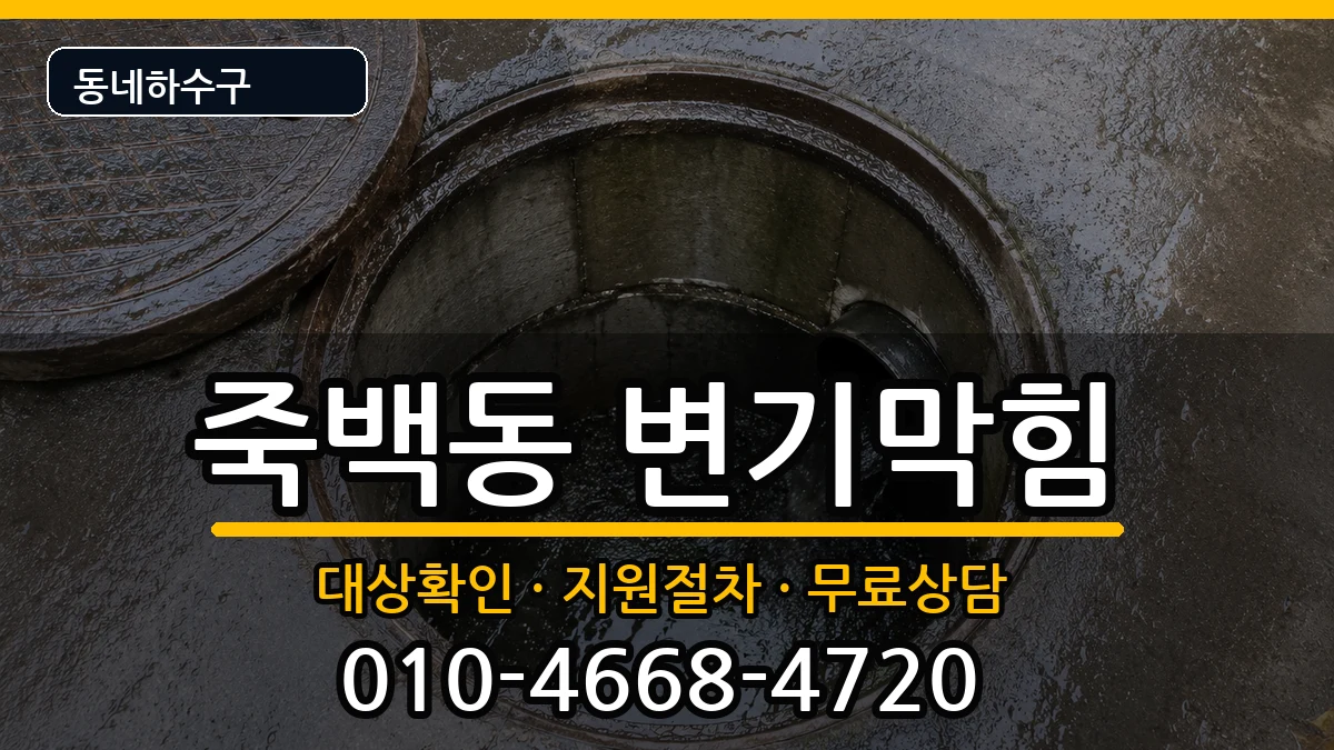경기평택시죽백동 변기막힘 경기평택시죽백동 변기막힘 증상 처리 안내 이미지 2