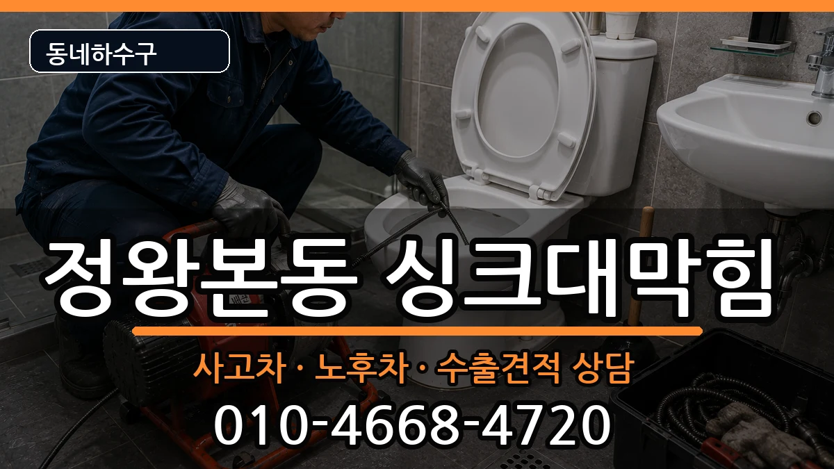 경기시흥시정왕본동  싱크대막힘 사례형