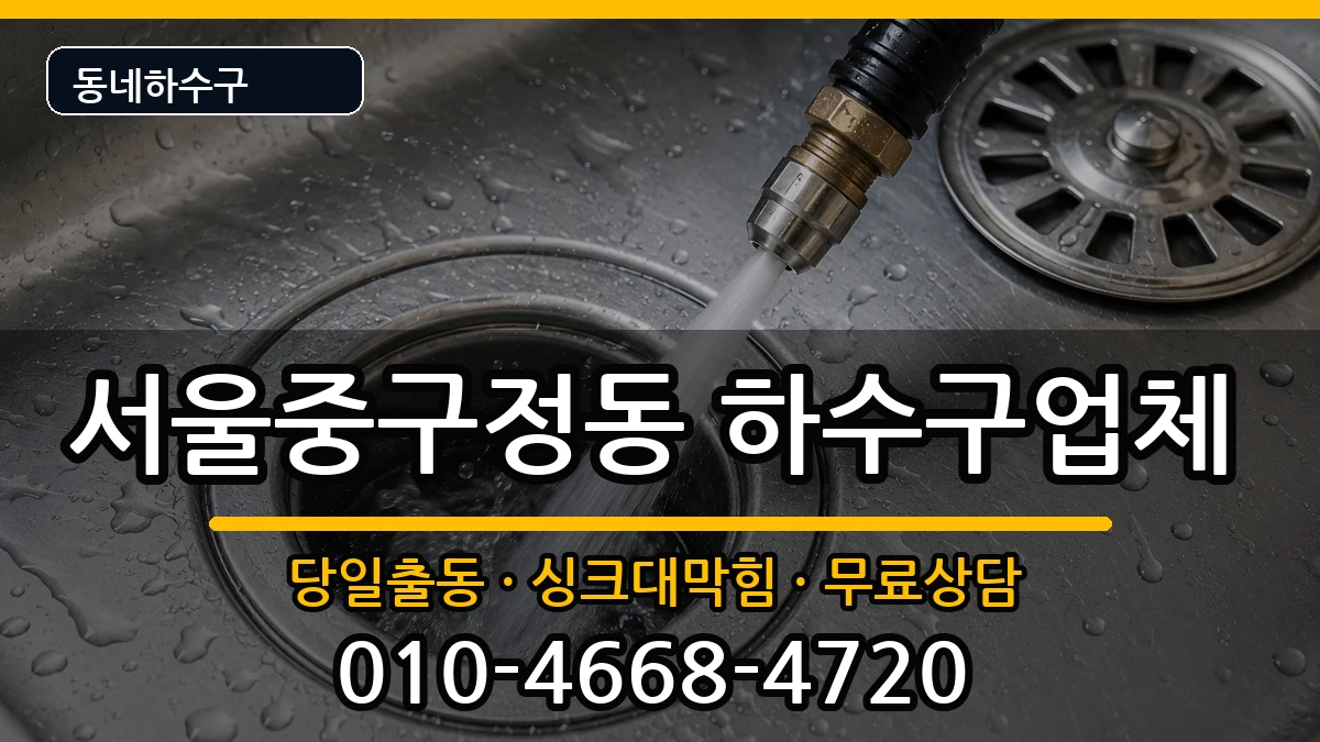 서울중구정동 하수구막힘 서울중구정동 하수구막힘 증상 처리 안내 이미지 1