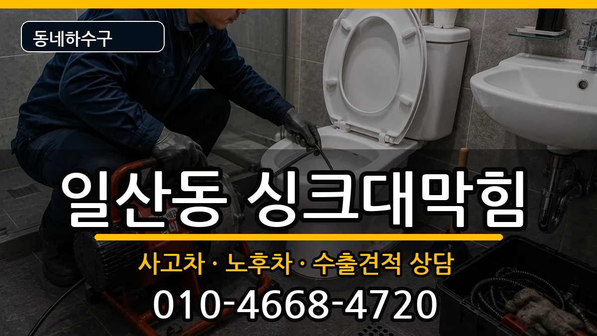 경기고양시일산서구일산동 싱크대막힘 경기고양시일산서구일산동 싱크대막힘 증상 처리 안내 이미지 2