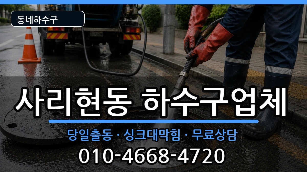 경기고양시일산동구사리현동 하수구막힘 경기고양시일산동구사리현동 하수구막힘 증상 처리 안내 이미지 3