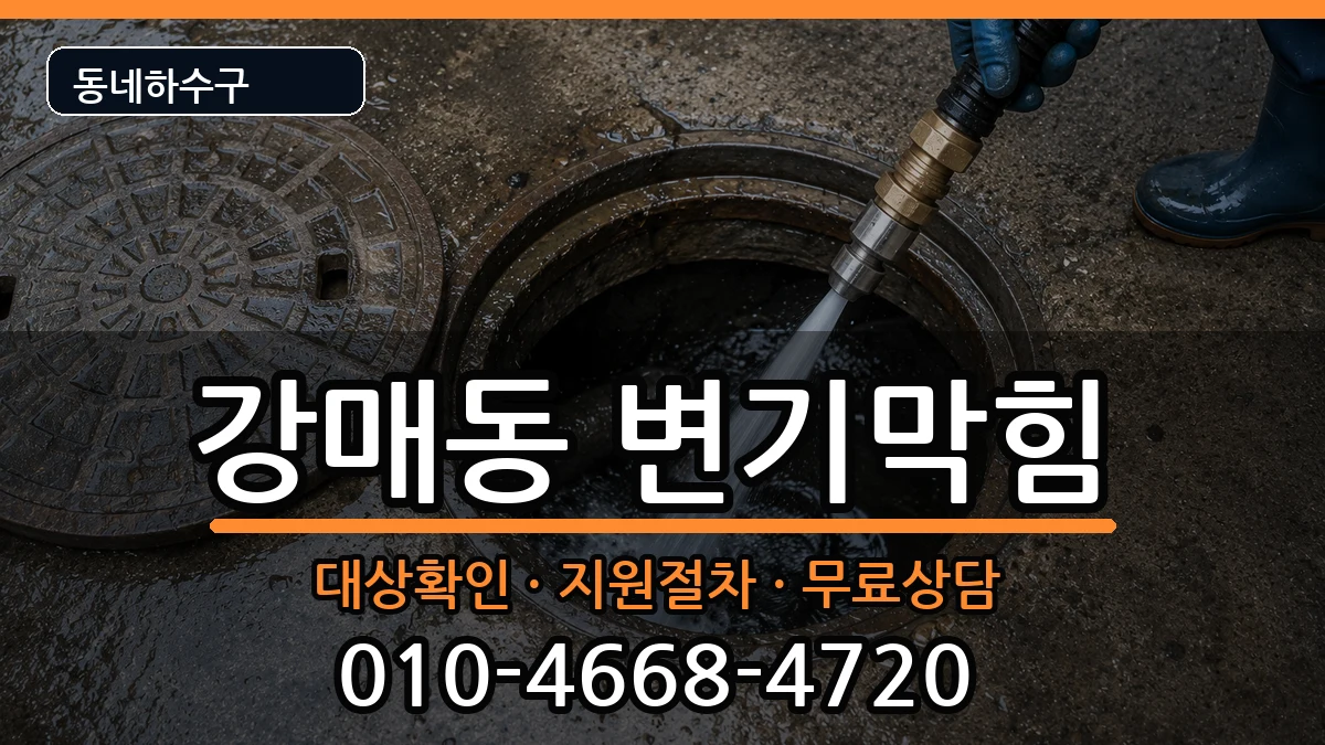 경기고양시덕양구강매동 변기막힘 증상 처리 안내 이미지 3