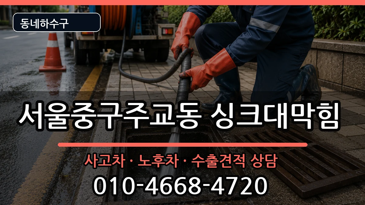 서울중구주교동  싱크대막힘 질문형