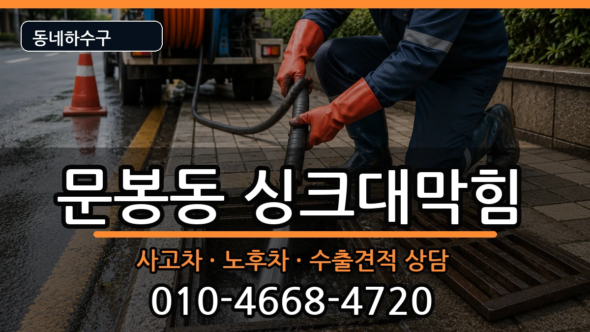 경기고양시일산동구문봉동 싱크대막힘 증상 처리 안내 이미지 1