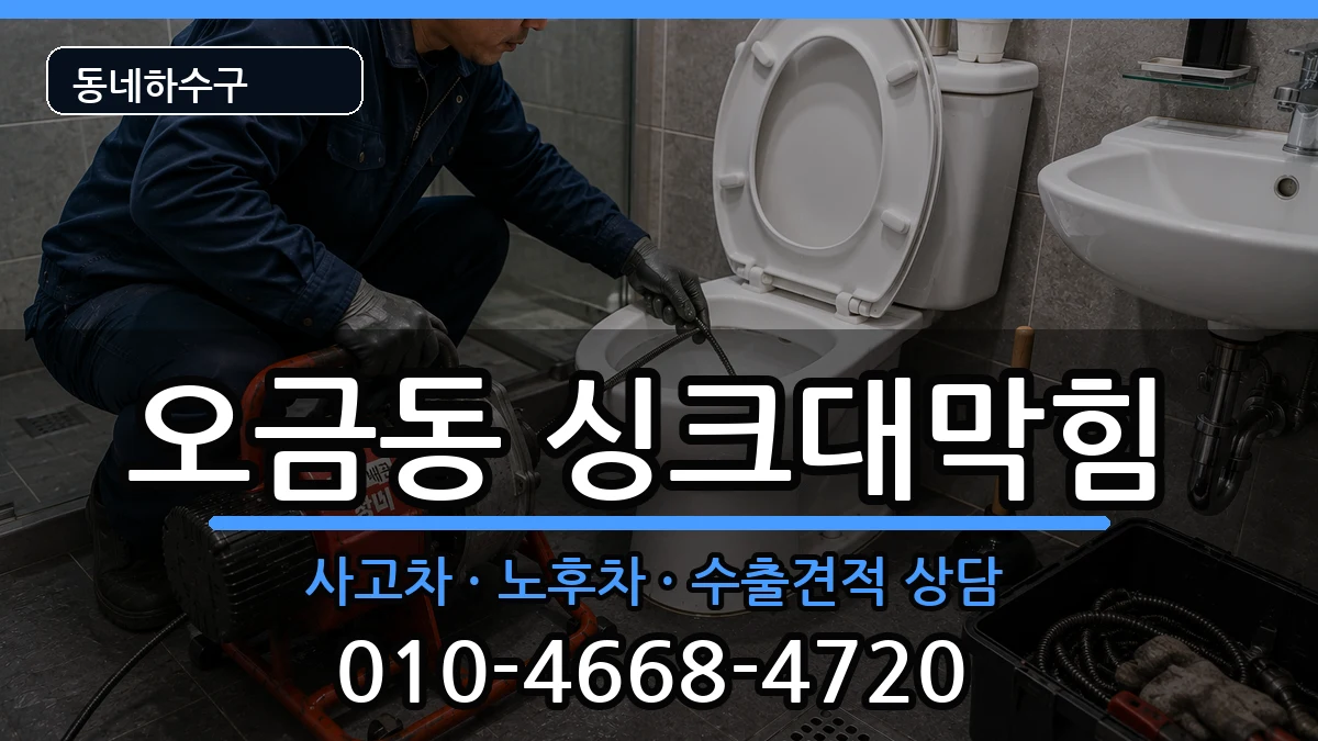 경기군포시오금동 싱크대막힘 경기군포시오금동 싱크대막힘 증상 처리 안내 이미지 2
