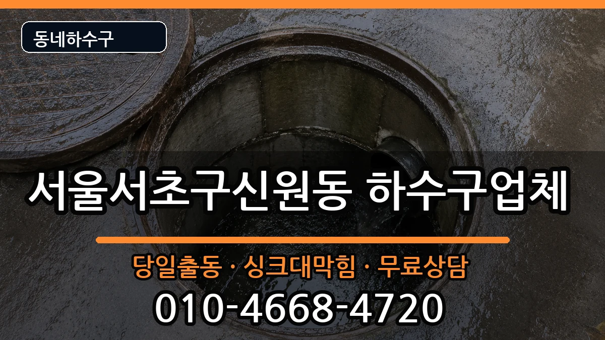 서울서초구신원동 하수구막힘 증상 처리 안내 이미지 1