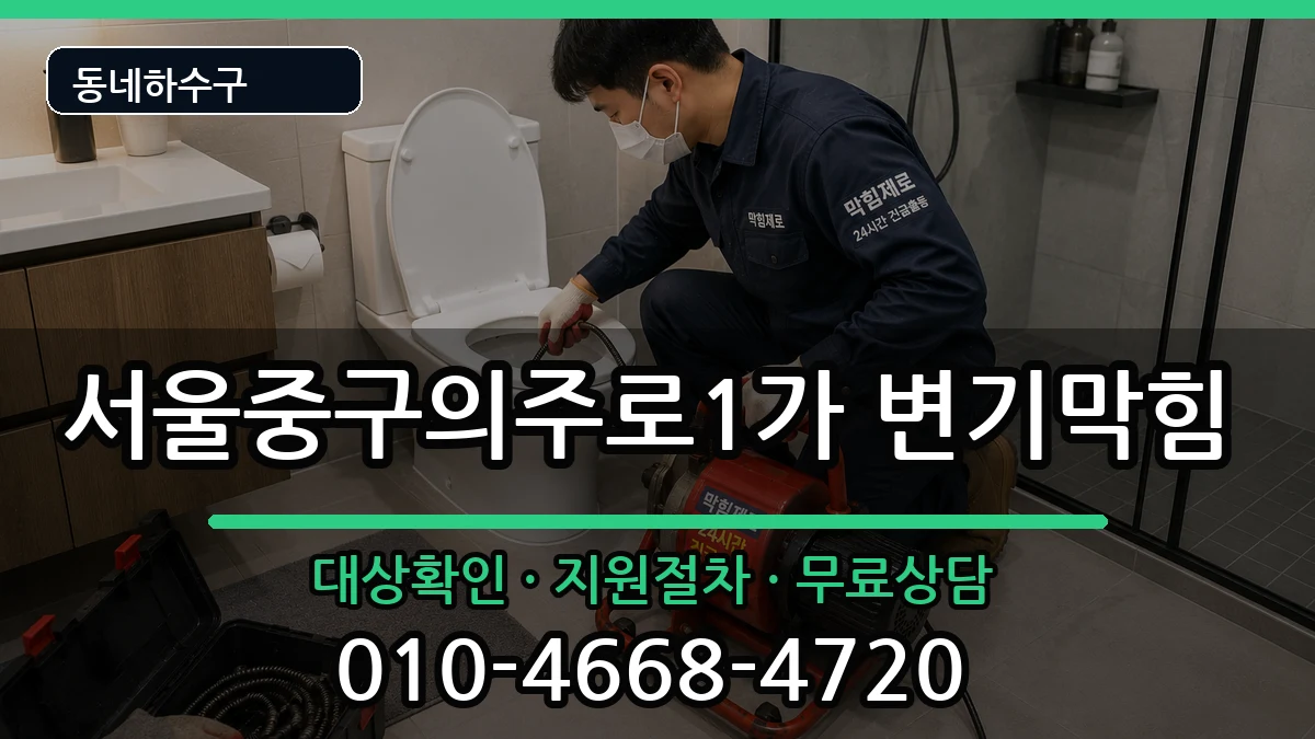 서울중구의주로1가 변기막힘 서울중구의주로1가 변기막힘 증상 처리 안내 이미지 2