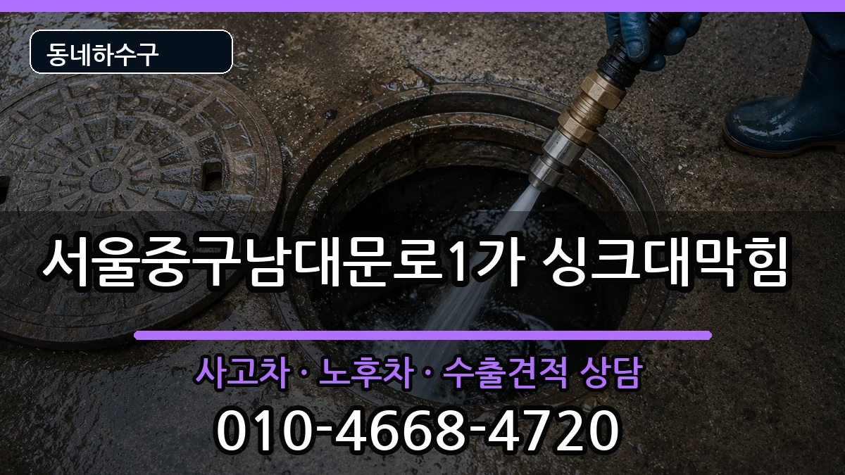 서울중구남대문로1가 싱크대막힘 증상 처리 안내 이미지 2
