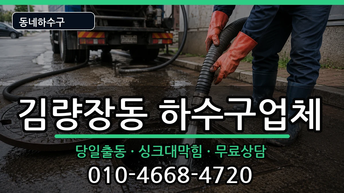 경기용인시처인구김량장동 하수구막힘 증상 처리 안내 이미지 3