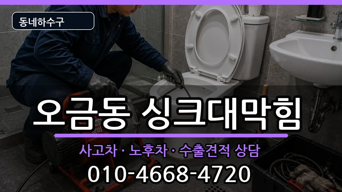 경기고양시덕양구오금동 싱크대막힘 증상 처리 안내 이미지 1