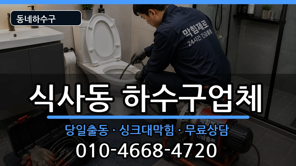 경기고양시일산동구식사동 하수구막힘 경기고양시일산동구식사동 하수구막힘 증상 처리 안내 이미지 1