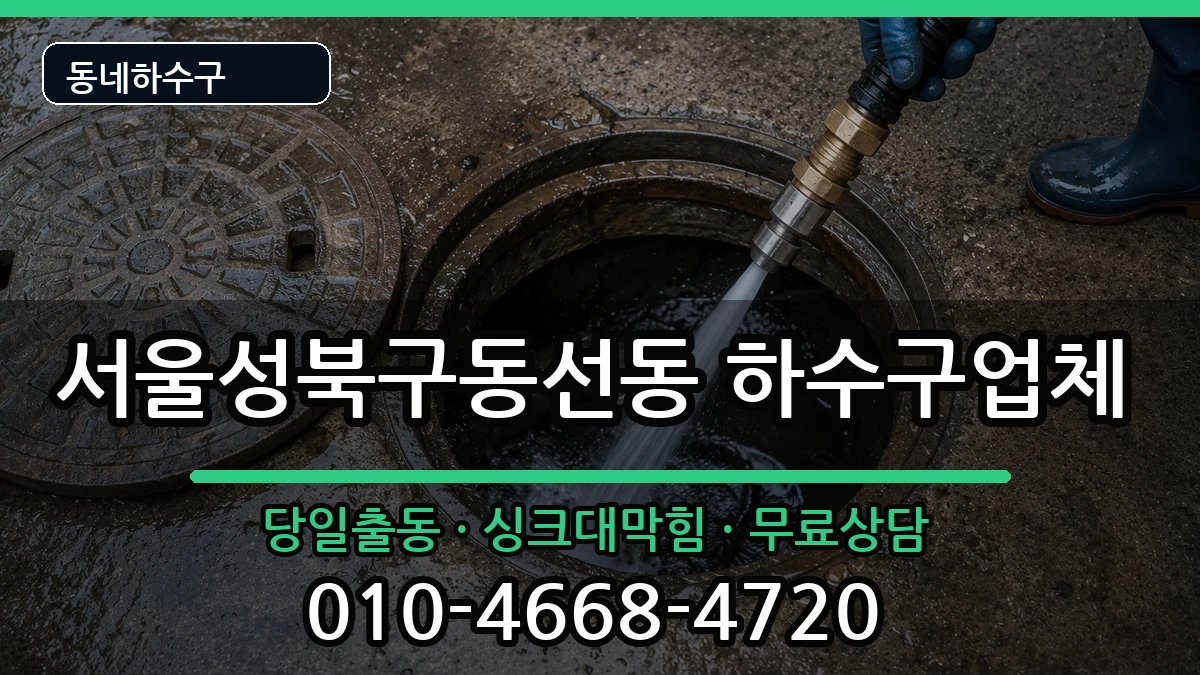 서울성북구동선동 하수구막힘 서울성북구동선동 하수구막힘 증상 처리 안내 이미지 2