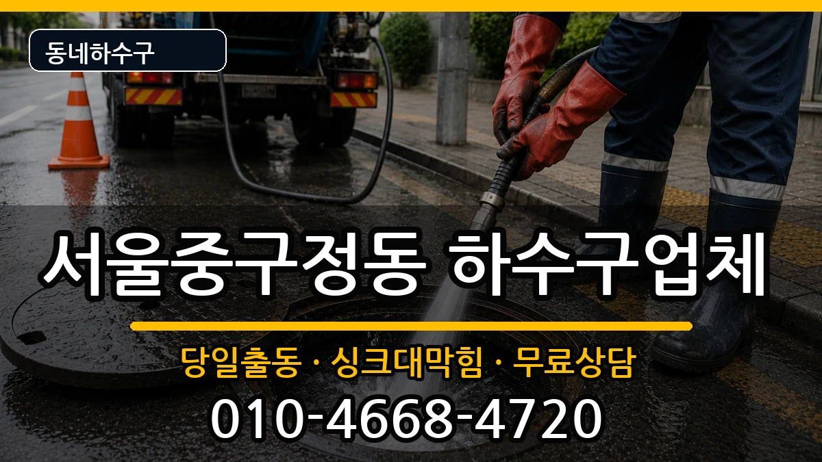 서울중구정동 하수구막힘 서울중구정동 하수구막힘 증상 처리 안내 이미지 3
