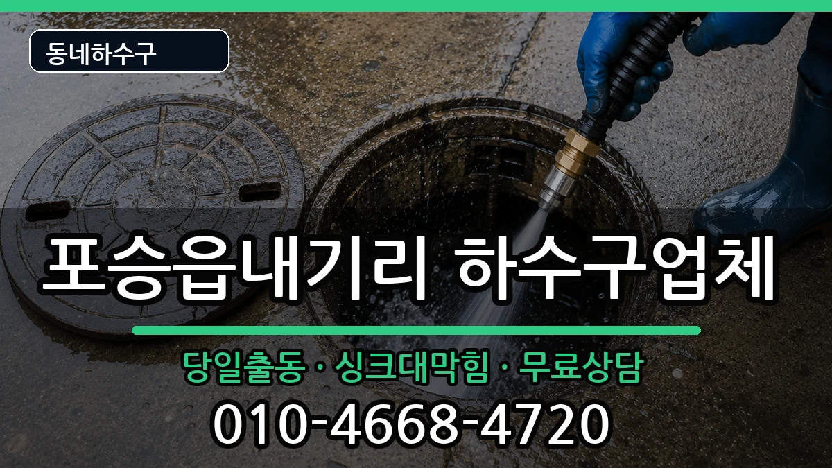경기평택시포승읍내기리 하수구막힘 경기평택시포승읍내기리 하수구막힘 증상 처리 안내 이미지 2