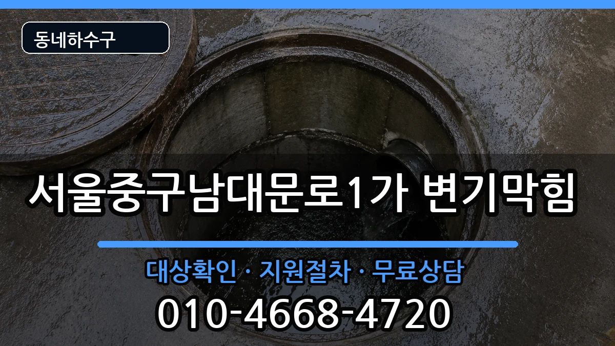 서울중구남대문로1가 변기막힘 서울중구남대문로1가 변기막힘 증상 처리 안내 이미지 3