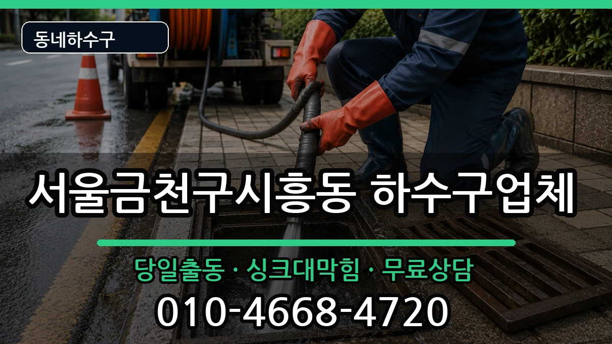 서울금천구시흥동  하수구막힘 질문형