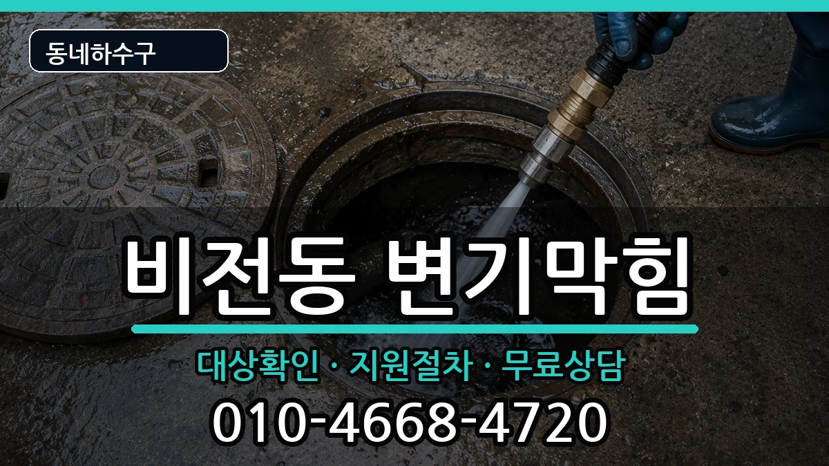 경기평택시비전동 변기막힘 경기평택시비전동 변기막힘 증상 처리 안내 이미지 2