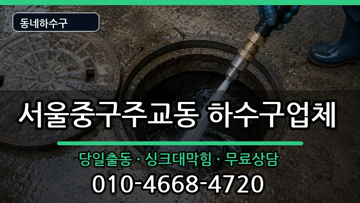 서울중구주교동 하수구막힘 서울중구주교동 하수구막힘 증상 처리 안내 이미지 2