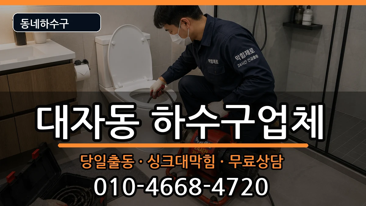 경기고양시덕양구대자동  하수구막힘 사례형