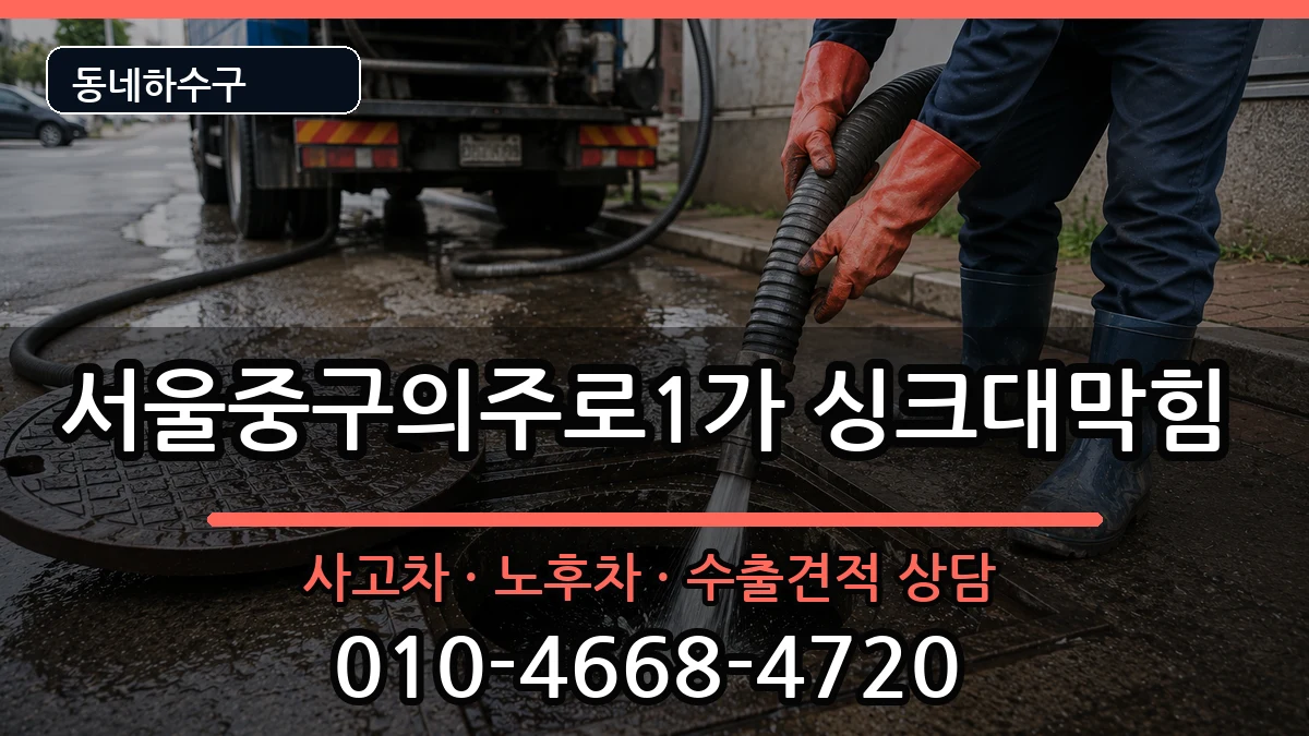서울중구의주로1가 싱크대막힘 서울중구의주로1가 싱크대막힘 증상 처리 안내 이미지 2