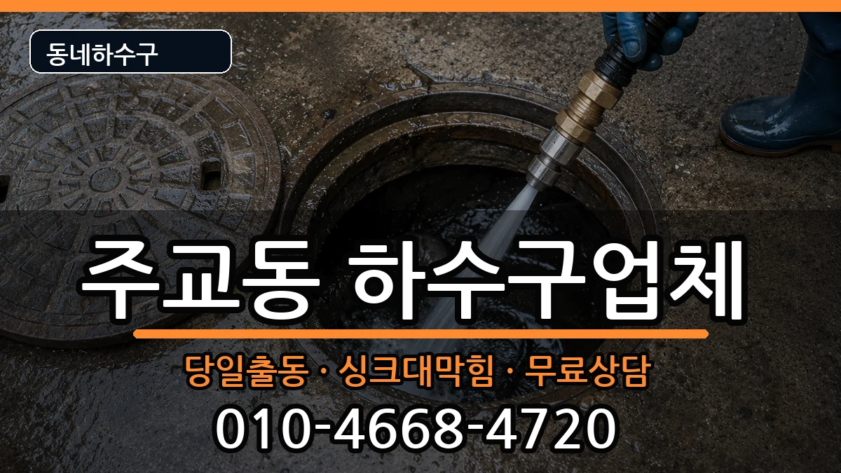경기고양시덕양구주교동 하수구막힘 증상 처리 안내 이미지 1