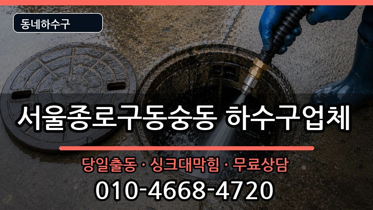 서울종로구동숭동 하수구막힘 서울종로구동숭동 하수구막힘 증상 처리 안내 이미지 3