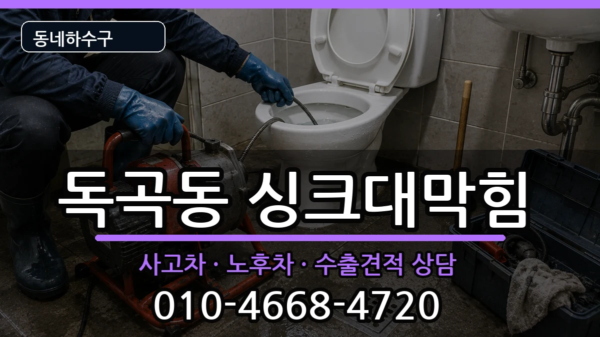 경기평택시독곡동  싱크대막힘 비교형